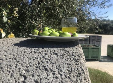 Frantoio Migliozzi - Colline Sidicine - La Fattoria dell'Olio_30